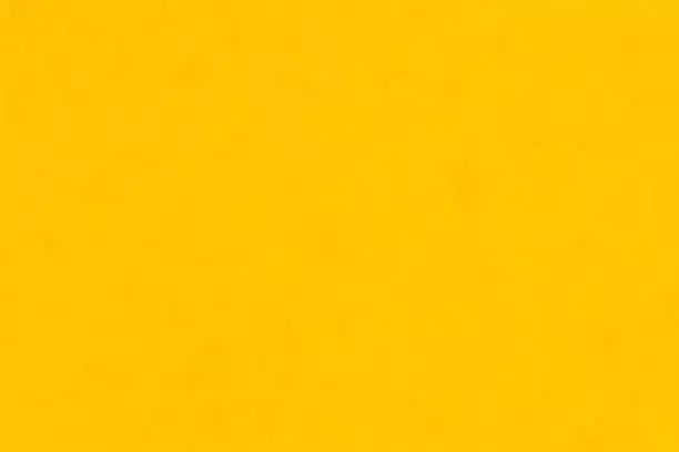 Welcome to Sunrise Paintpros